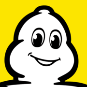 Michelin demo logo